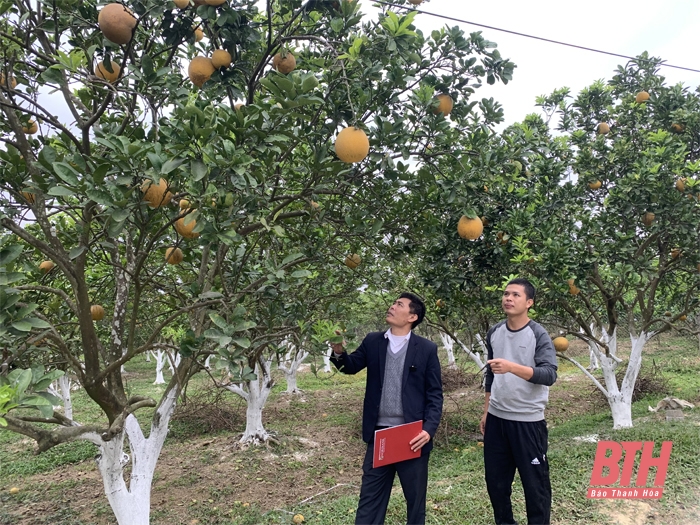 Đầu tư nguồn vốn phát triển nông nghiệp ở huyện Thọ Xuân