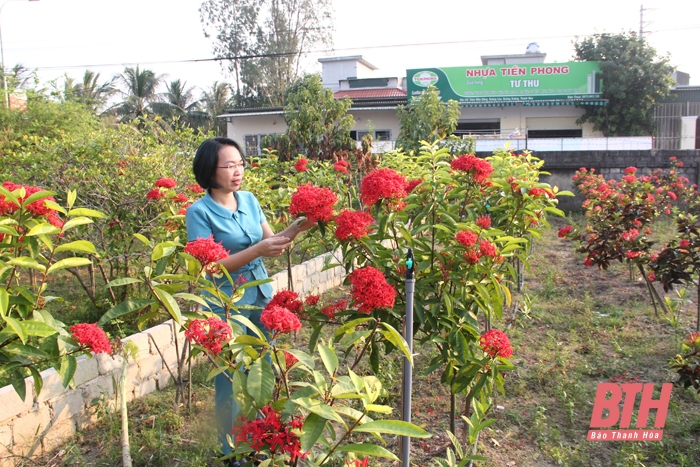 Phong trào xây dựng vườn mẫu ở Quảng Lưu