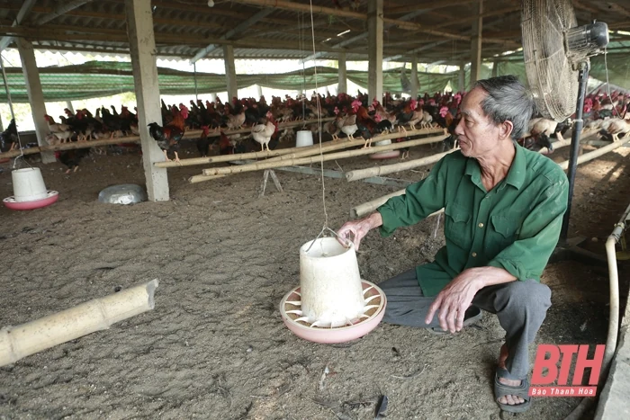 Thực hiện các giải pháp phát triển con nuôi chủ lực