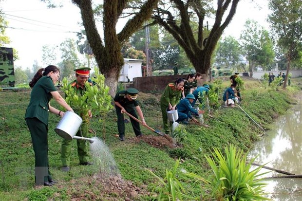 Chỉ thị số 03: Góp sức trồng 1 tỷ cây xanh, vì một Việt Nam xanh