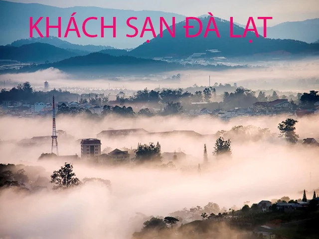 Khách sạn trung tâm Đà Lạt Hoa Dalat Travel