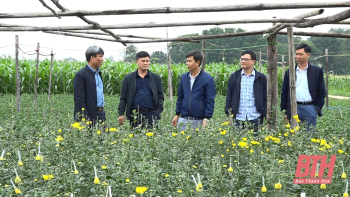 Nhân rộng các mô hình khuyến nông hiệu quả