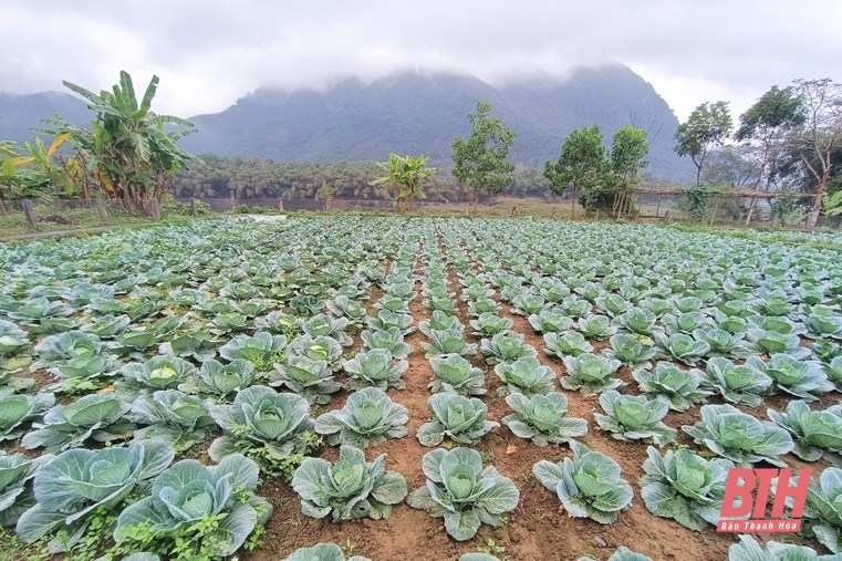 Đi để trưởng thành (Bài cuối): Đảm bảo an toàn, huấn luyện giỏi