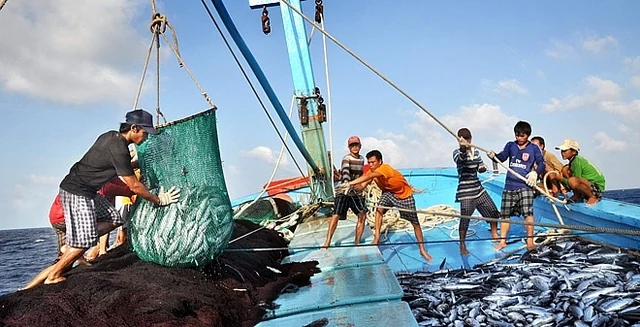 Tập trung nguồn lực chống khai thác hải sản bất hợp pháp, quyết tâm gỡ cảnh báo “Thẻ vàng”