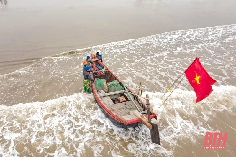 Ngư dân Thanh Hóa rộn ràng vào mùa cá trích