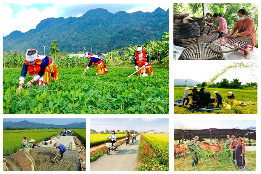 Tháo gỡ khó khăn trong triển khai thực hiện các chương trình mục tiêu quốc gia