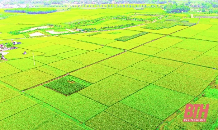 Thủ tướng Chính phủ phê duyệt Quy hoạch tỉnh Thanh Hóa thời kỳ 2021-2030, tầm nhìn đến năm 2045