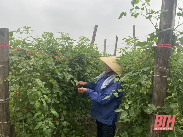 “Nhìn lại 2 năm thực hiện Chương trình Xây dựng Nông thôn mới” (Bài 10): Thực hiện tiêu chí mới với yêu cầu mới