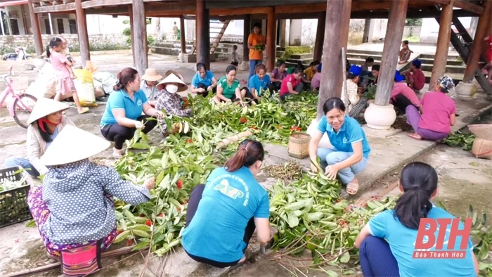 Lang Chánh tăng cường công tác bảo vệ môi trường