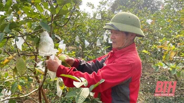 Thạch Thành phát huy dân chủ ở cơ sở để khơi dậy “lòng dân - sức dân”