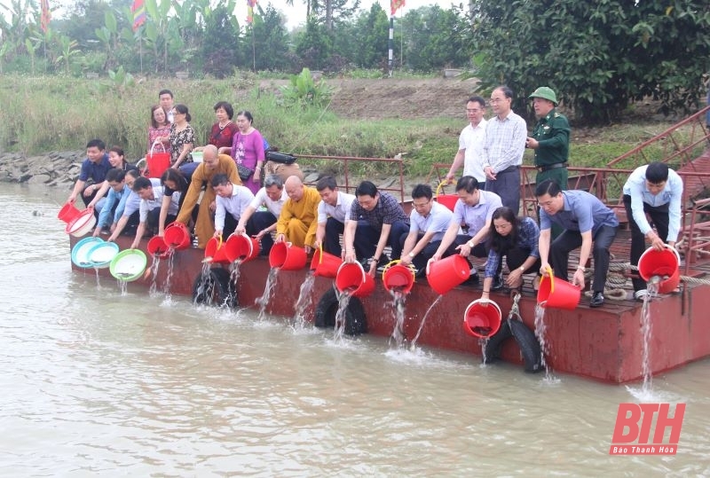 Thả cá giống tái tạo nguồn lợi thủy sản trên sông Mã