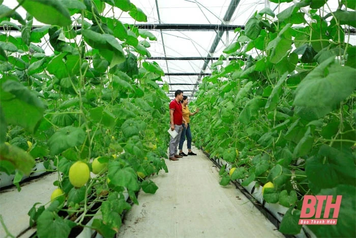 Quy hoạch tỉnh Thanh Hóa - kim chỉ nam cho phát triển toàn diện và bền vững (Bài 2): Xây dựng 4 trung tâm kinh tế động lực, 6 hành lang kinh tế