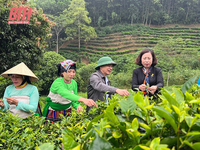 Các cấp hội nông dân ứng dụng chuyển đổi số vào sản xuất