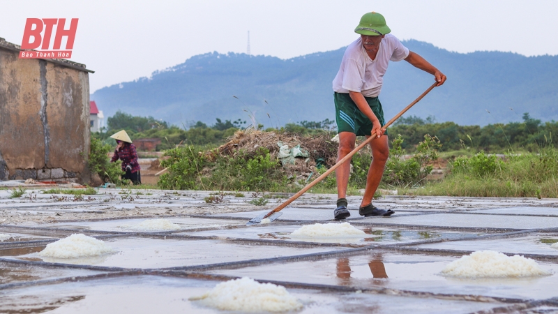 Diêm dân làm muối dưới nắng nóng 40 độ C