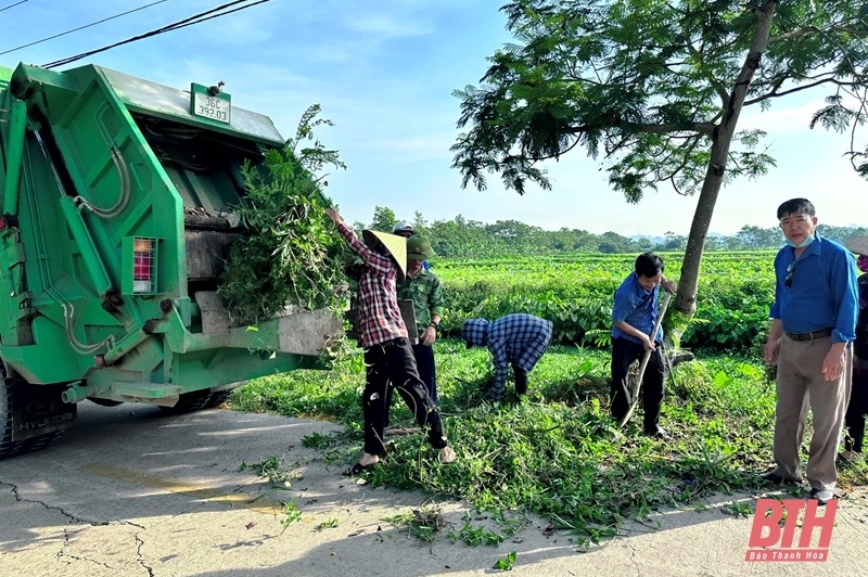 Hội Nông dân tỉnh ra quân hưởng ứng Ngày Môi trường Thế giới