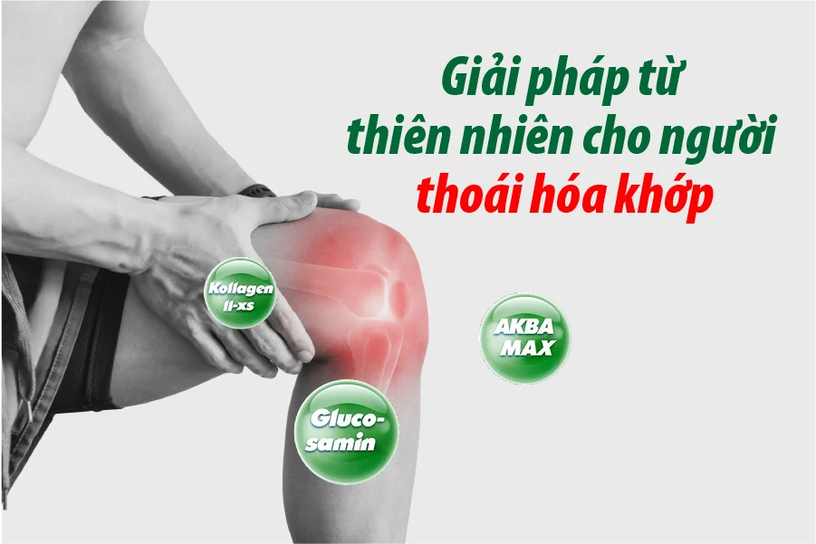Giải pháp từ thiên nhiên cho người thoái hóa khớp