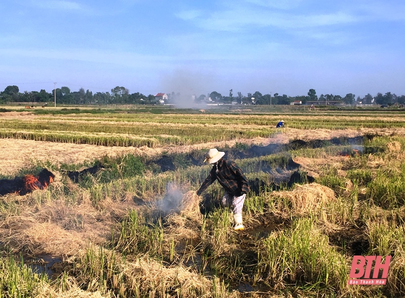 Người đứng đầu cấp ủy, chính quyền chịu trách nhiệm nếu để xảy ra ô nhiễm môi trường nghiêm trọng