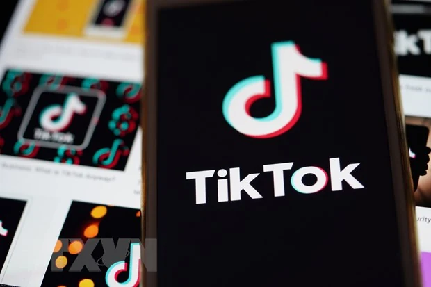 Các nghị sỹ Pháp kêu gọi cấm TikTok do “tiếp tay” cho bạo loạn