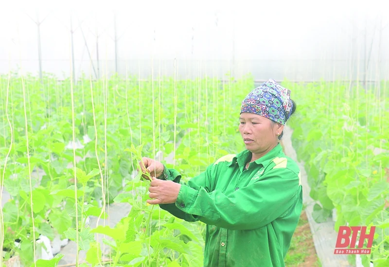 Để liên kết sản xuất và tiêu thụ sản phẩm là nhân tố phát triển nông nghiệp bền vững (Bài cuối): Tìm “chìa khóa” mở “cánh cửa” tiến vào nền nông nghiệp hiện đại