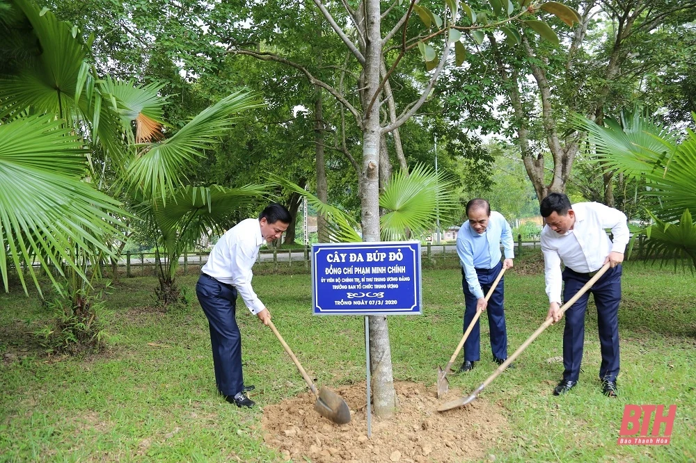 Bí thư Tỉnh ủy Đỗ Trọng Hưng cùng đoàn đại biểu tỉnh Thanh Hóa dâng hương tại Khu di tích Quốc gia đặc biệt Tân Trào