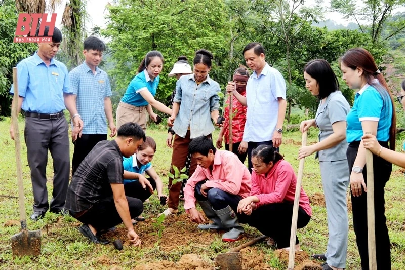 Trao gần 10.000 cây giống chanh leo cho Tổ hợp tác trồng chanh leo do phụ nữ làm chủ xã Thanh Sơn