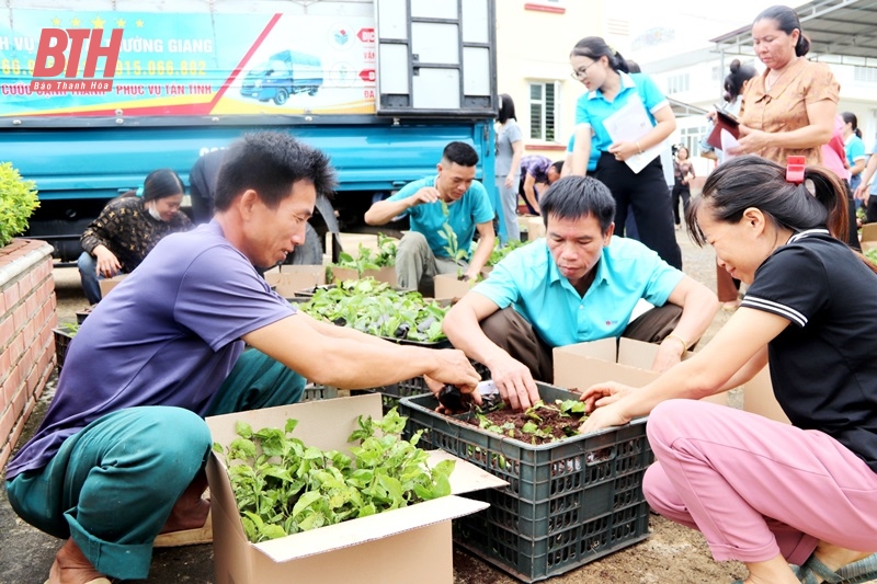 Trao gần 10.000 cây giống chanh leo cho Tổ hợp tác trồng chanh leo do phụ nữ làm chủ xã Thanh Sơn