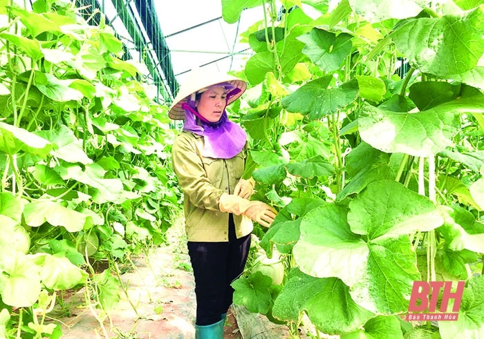 Chuyển đổi cơ cấu cây trồng gắn với phát triển nông nghiệp công nghệ cao