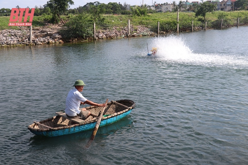 Tăng cường chỉ đạo nuôi trồng thủy sản bảo đảm kế hoạch tăng trưởng