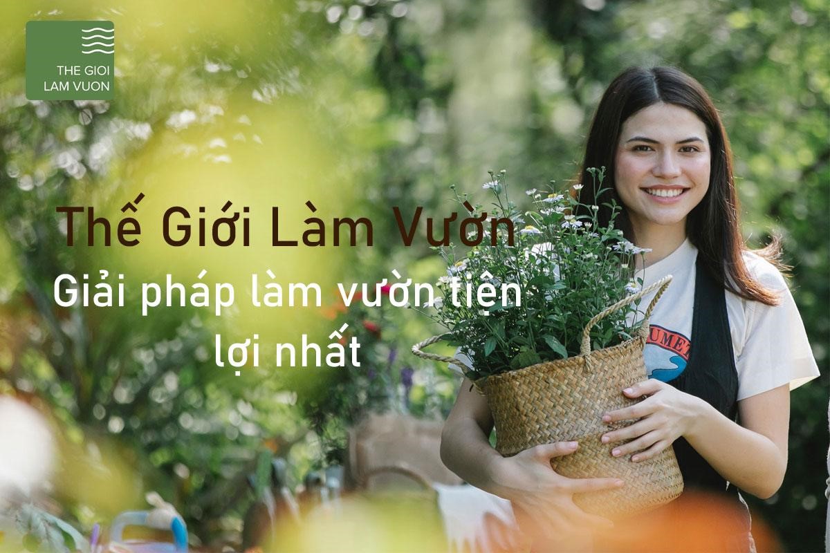 Giải pháp tưới nhà kính nhà màng tự động cho nhà nông