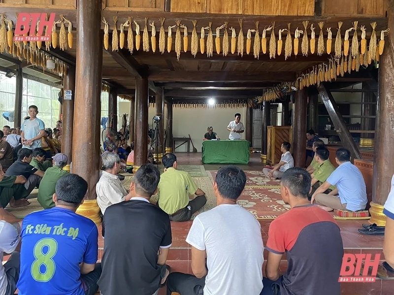 Như Xuân vận động người dân phát giác, tố giác đối tượng có hành vi khai thác rừng trái pháp luật