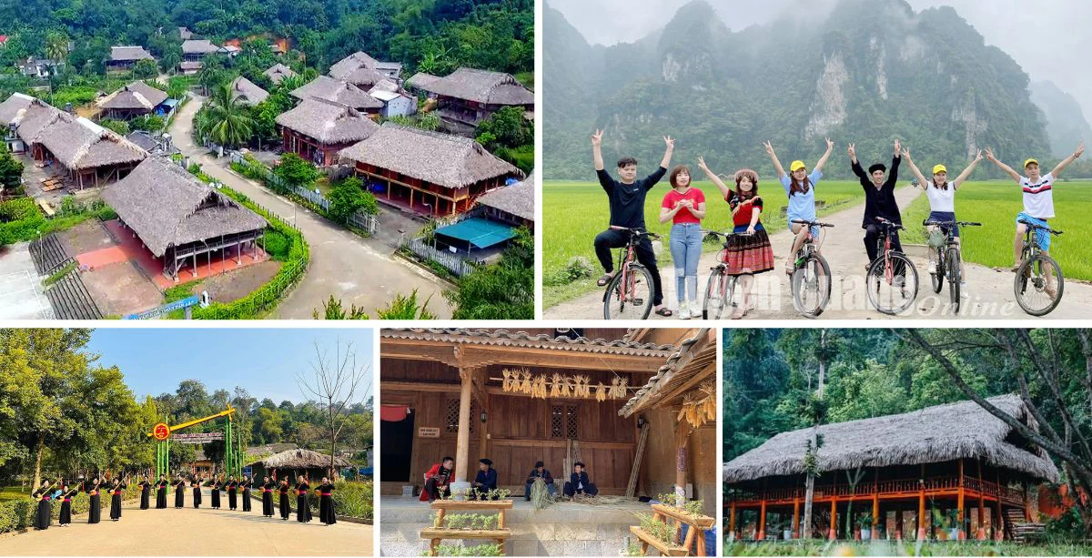 Bài 3: Liên kết để phát triển bền vững