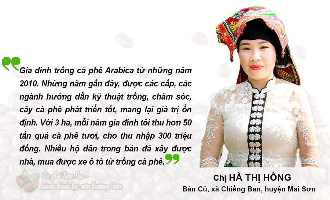 Cà phê Sơn La - Hành trình tạo nên thương hiệu