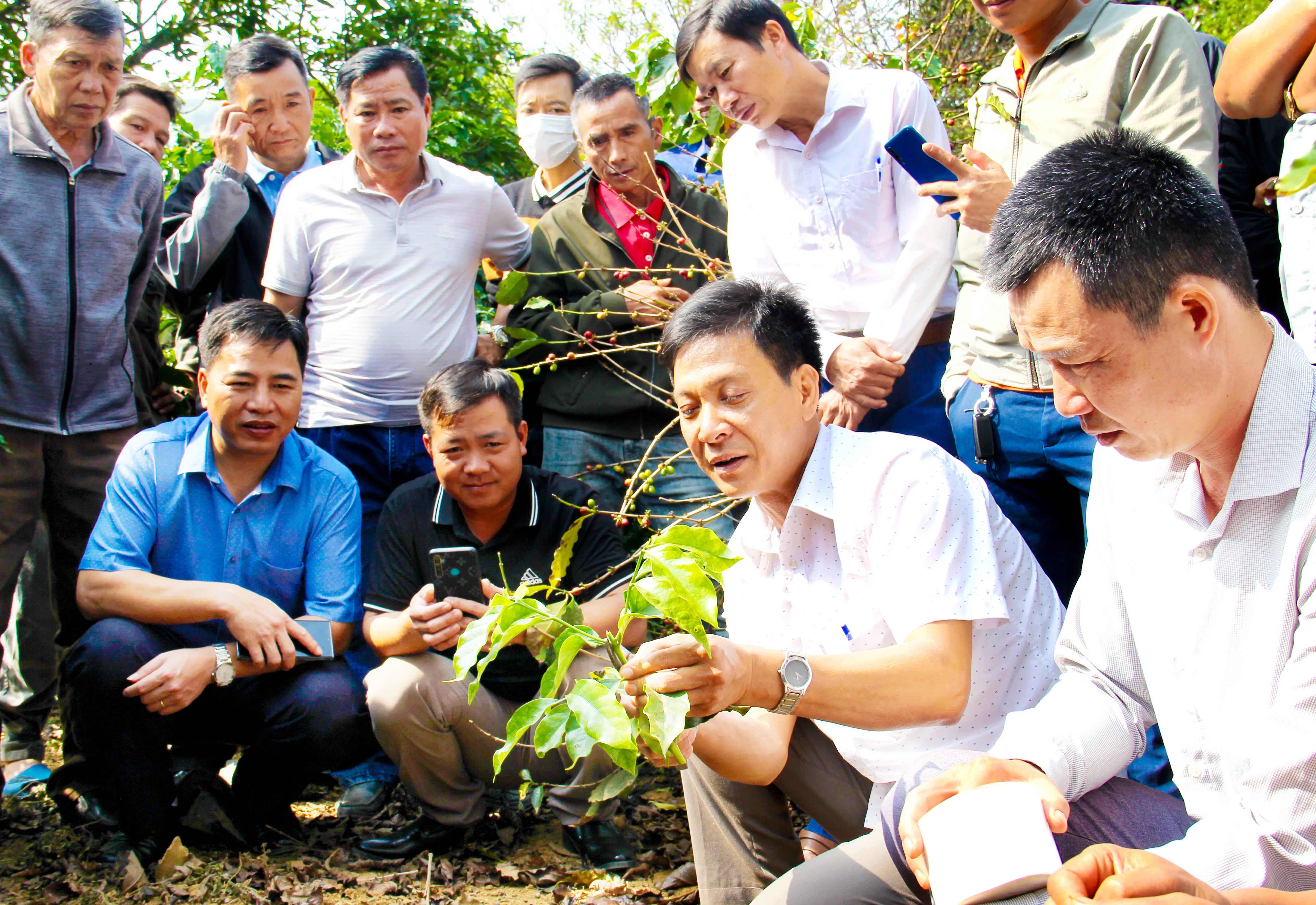 Cà phê Sơn La - Hành trình tạo nên thương hiệu