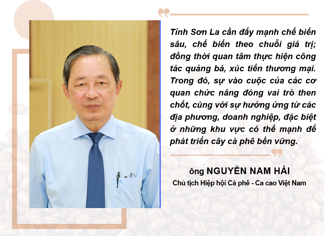 Cà phê Sơn La - Hành trình tạo nên thương hiệu