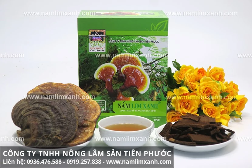Mua nấm lim xanh ở đâu uy tín tác dụng dược chất cao?