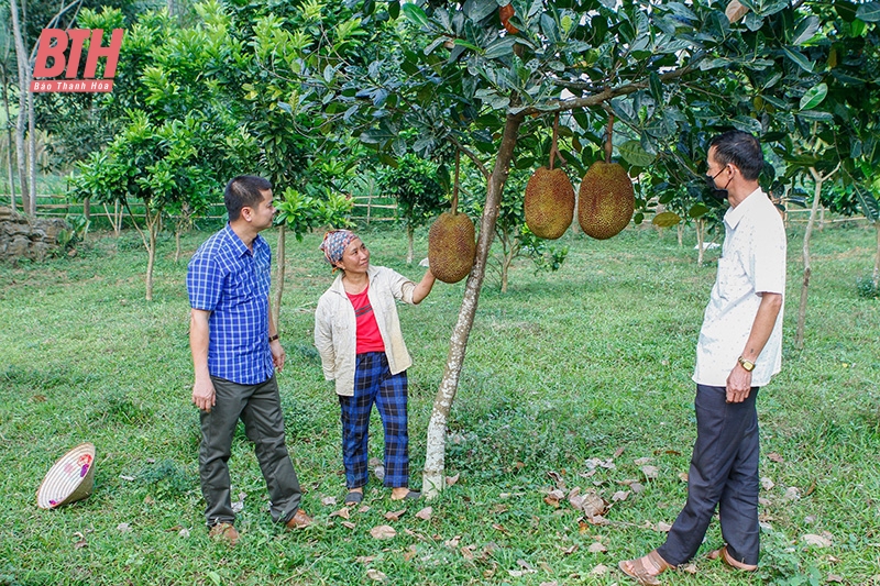 Đẩy nhanh giải ngân vốn đầu tư Chương trình MTQG phát triển kinh tế - xã hội vùng đồng bào dân tộc thiểu số và miền núi (Bài cuối): Tháo gỡ vướng mắc, khơi thông dòng vốn