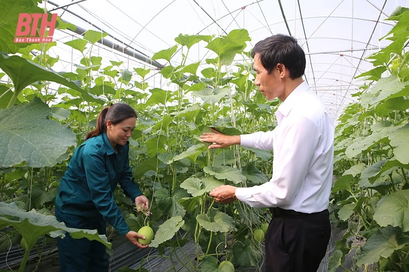 Nga Sơn điều động, luân chuyển cán bộ tạo động lực cho phát triển