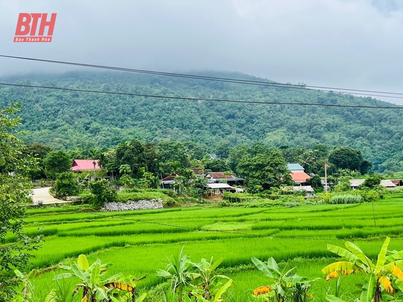 Thành lập Ban Chỉ đạo hỗ trợ, hướng dẫn các dự án nông, lâm nghiệp, du lịch sinh thái ở huyện Thường Xuân