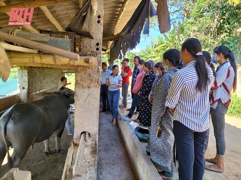 Như Xuân đẩy mạnh công tác tuyên truyền, thực hiện hiệu quả chương trình giảm nghèo bền vững