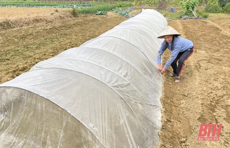 Thanh Hóa rét đậm kéo dài đến ngày 26/12