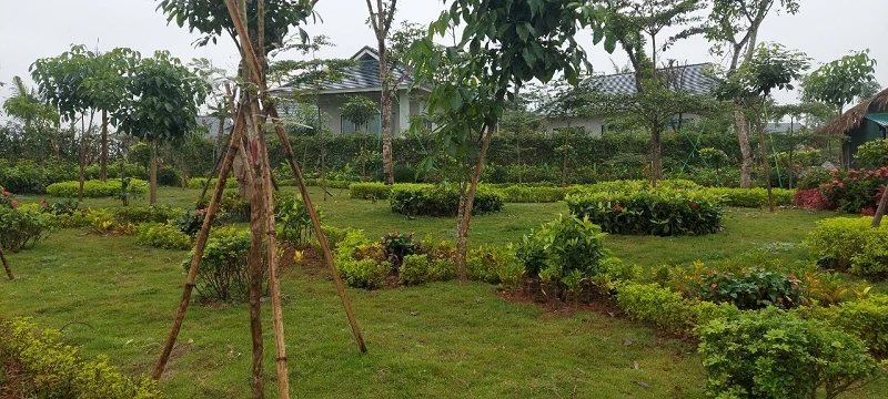 Kiếm tìm sự hoàn hảo cho dự án toàn mỹ