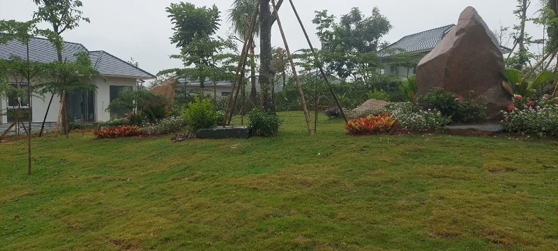 Kiếm tìm sự hoàn hảo cho dự án toàn mỹ