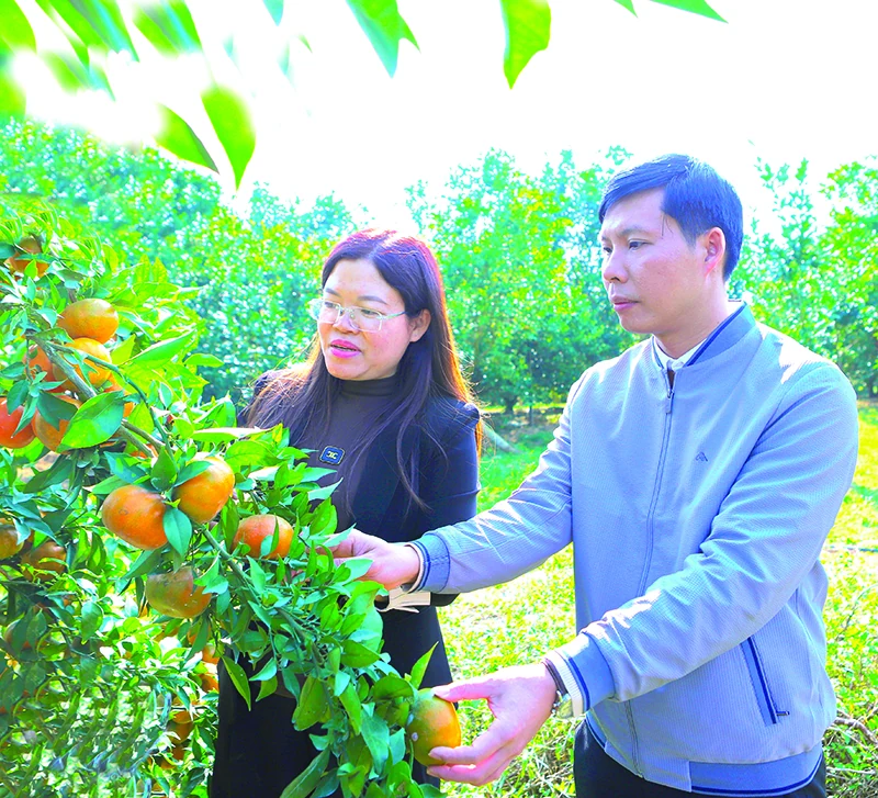 Như Xuân - tâm thế mới - khát vọng mới