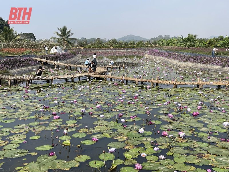 Nông thôn mới 2024 - Năm của những mục tiêu lớn