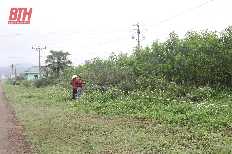Nỗ lực giải phóng mặt bằng để Dự án 500kV mạch 3 về đích