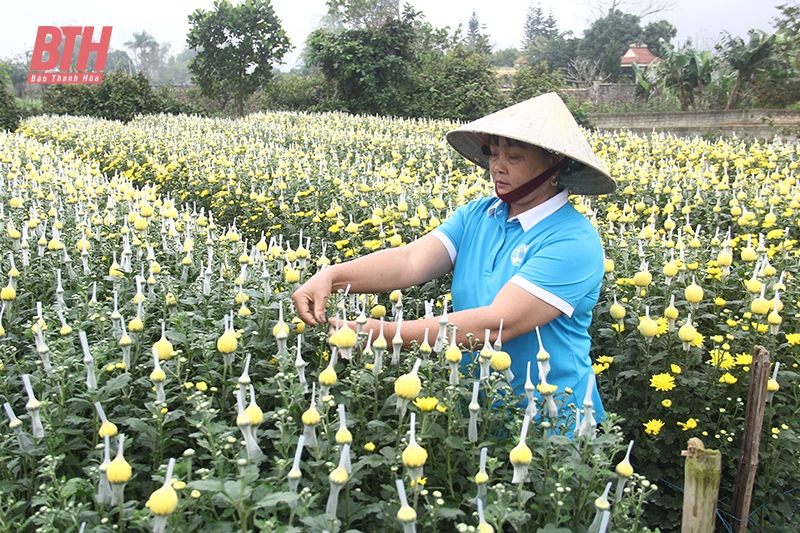 Chi hội trưởng năng động, nhiệt huyết