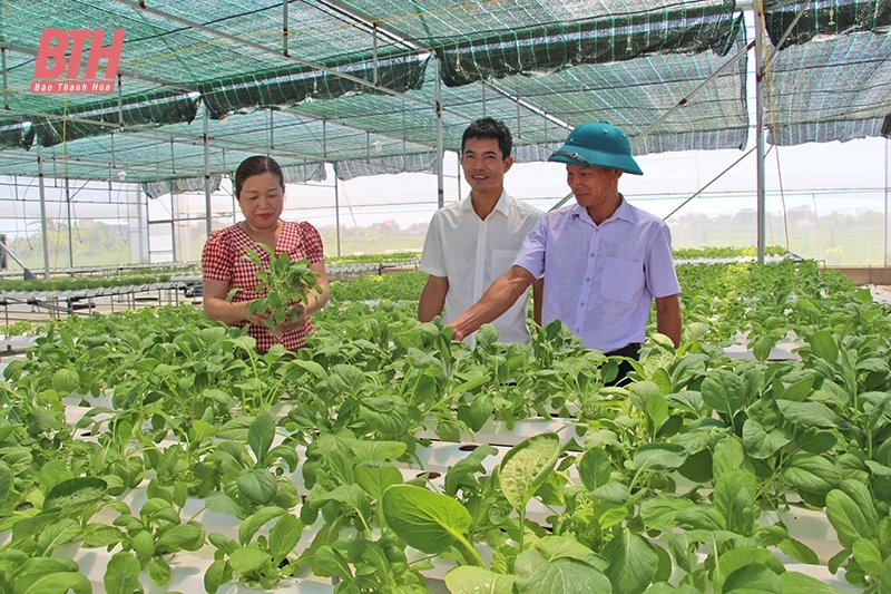 Chung sức, đồng lòng xây dựng thành công xã NTM kiểu mẫu Hoa Lộc