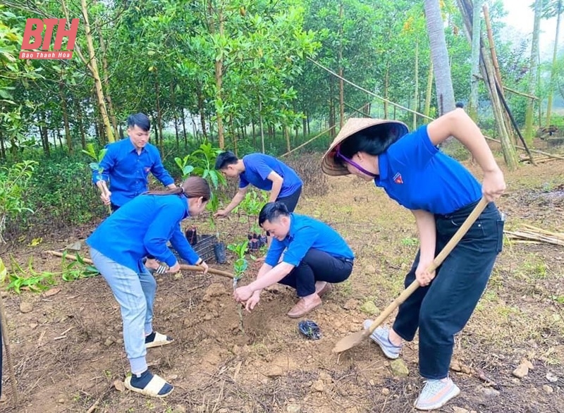 Tháng Thanh niên 2024: Thanh niên xung kích tình nguyện vì cuộc sống cộng đồng