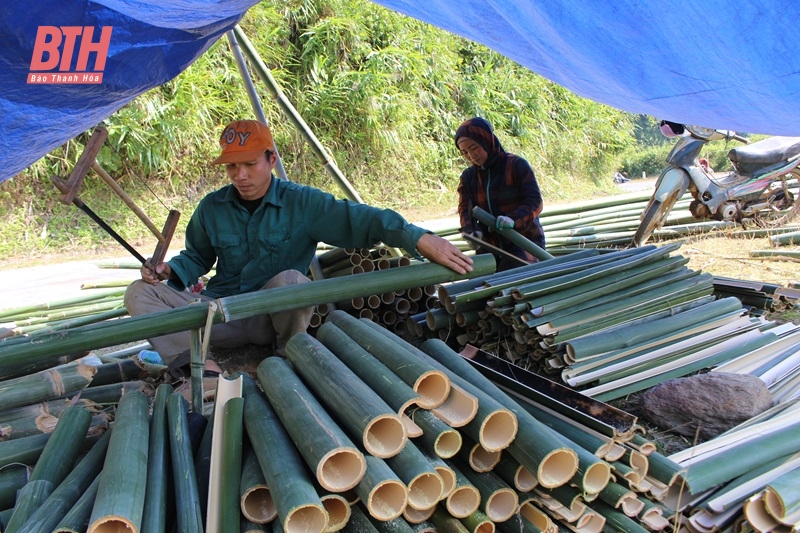 Tạo sinh kế cho đồng bào dân tộc thiểu số