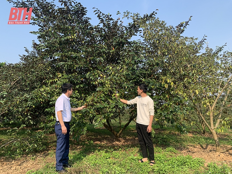 Lan tỏa các mô hình “Dân vận khéo” ở Như Thanh